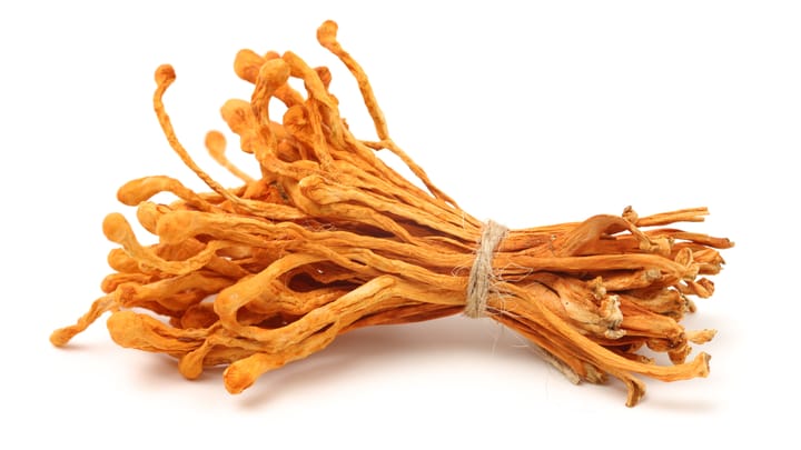 ‚Cordyceps‘: Mushrooming Malicious Pull Requests Threaten Developer Workflows